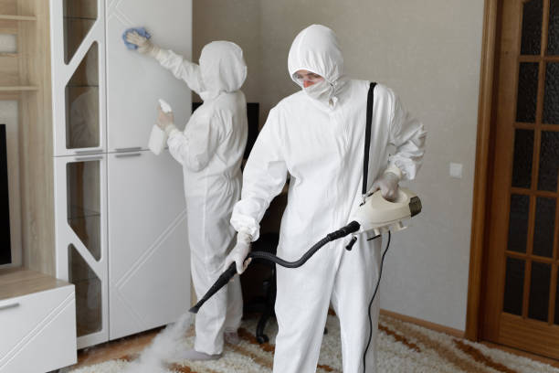 Best Mold Damage Repair  in Bucyrus, OH