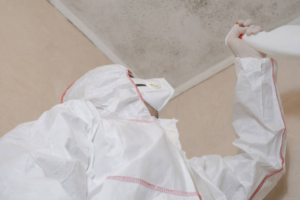 Best Commercial Mold Removal  in Bucyrus, OH