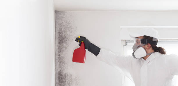 Best Professional Mold Removal  in Bucyrus, OH