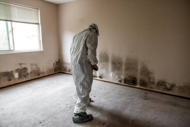 Best Crawl Space Mold Removal  in Bucyrus, OH