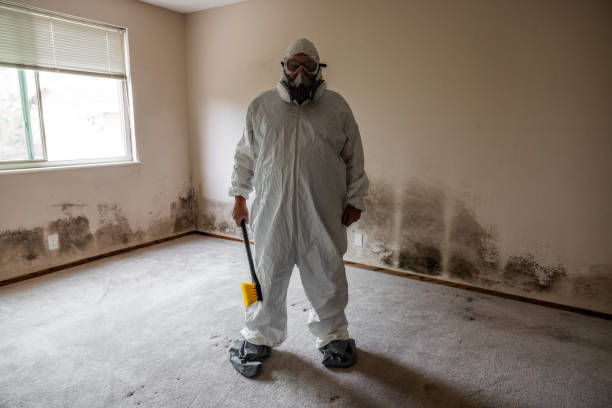 Best Emergency Mold Removal  in Bucyrus, OH